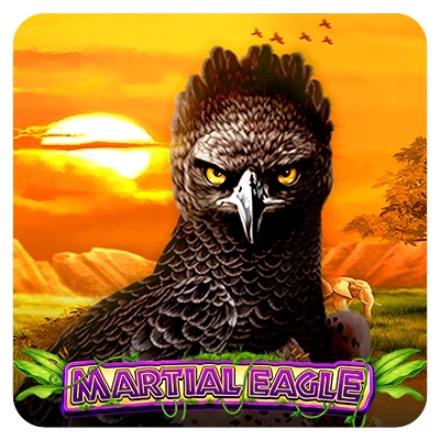 Martial Eagle